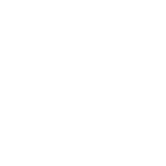 The Origin White Logo
